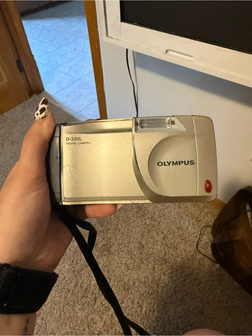 Olympus Silver Compact Point-and-Shoot Digital Camera